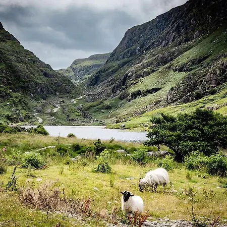 Gap Of Dunloe Shepherd'S Cottage Killarney Extérieur photo