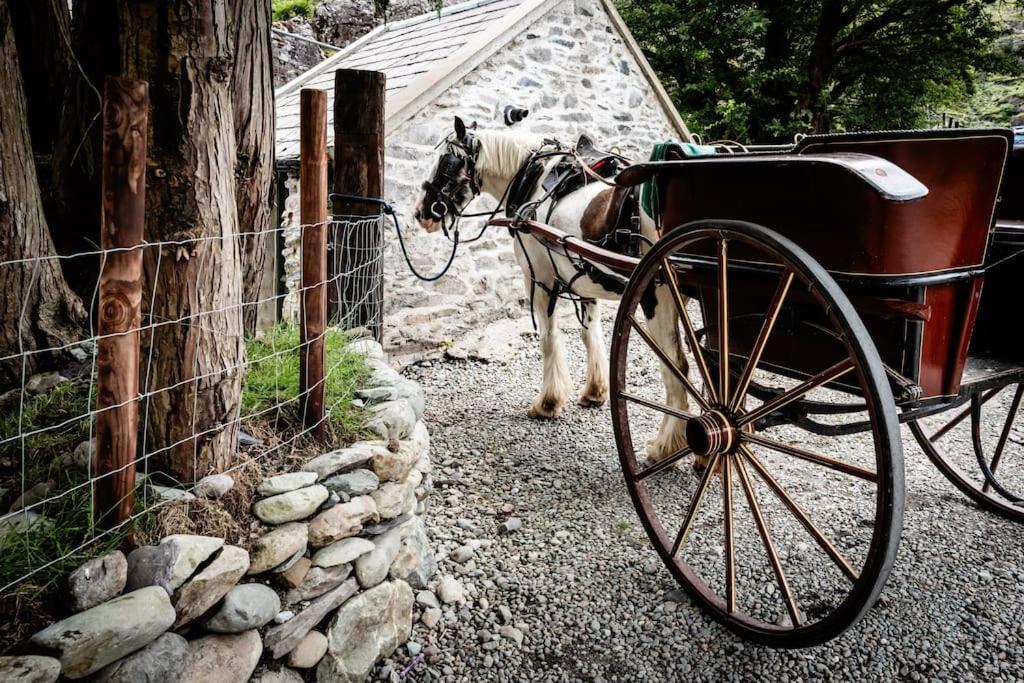 Hébergement de vacances Gap Of Dunloe Shepherd's Killarney