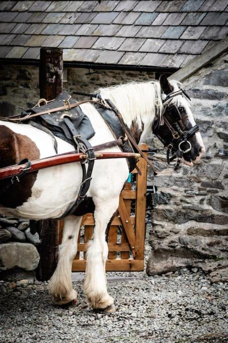 Hébergement de vacances Gap Of Dunloe Shepherd's *