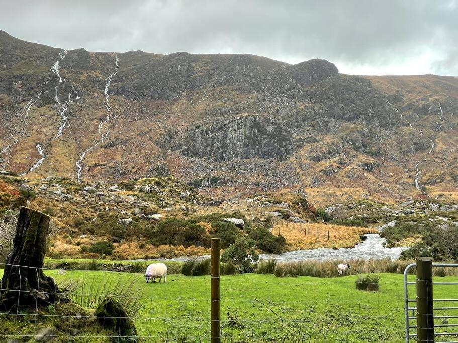 Hébergement de vacances Gap Of Dunloe Shepherd's