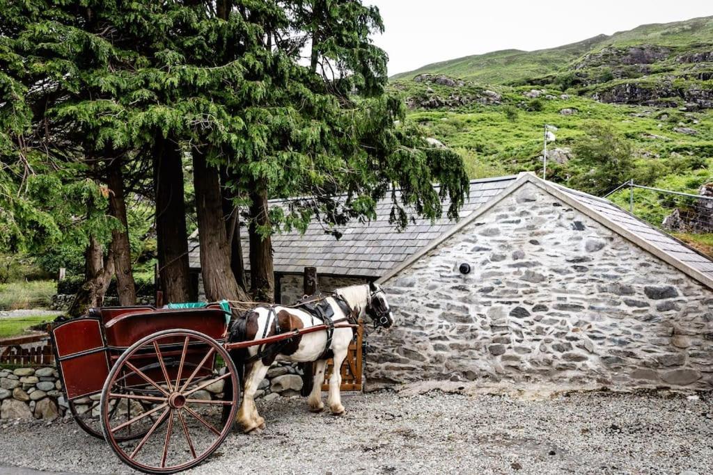 Gap Of Dunloe Shepherd's Hébergement de vacances Killarney